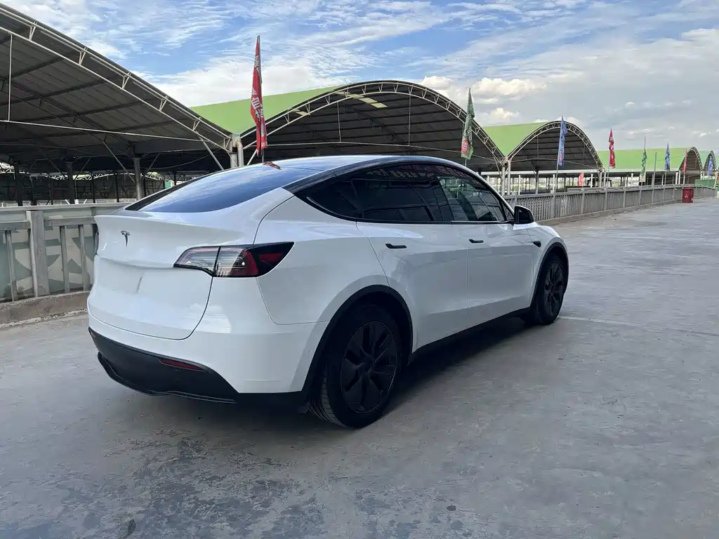 Tesla Model Y 2023 — фото 6