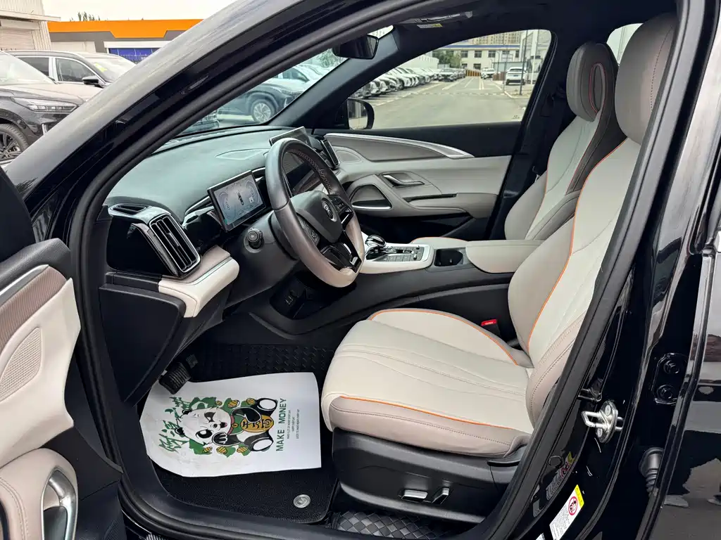 BYD Pro New Energy 2024 — фото 4