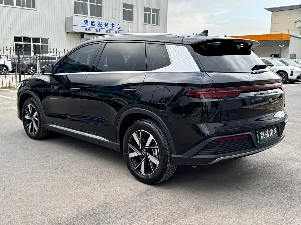 BYD Pro New Energy 2024 — фото 7