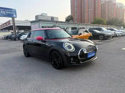 MINI MINI 2019