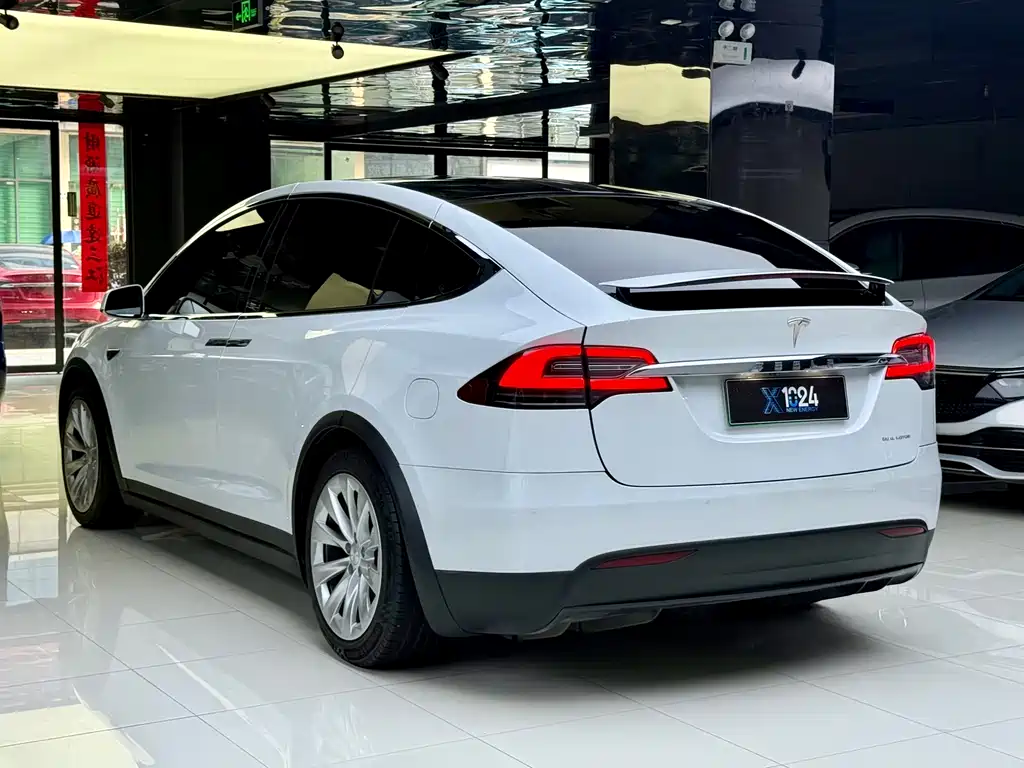 Tesla Model X 2019 — фото 15