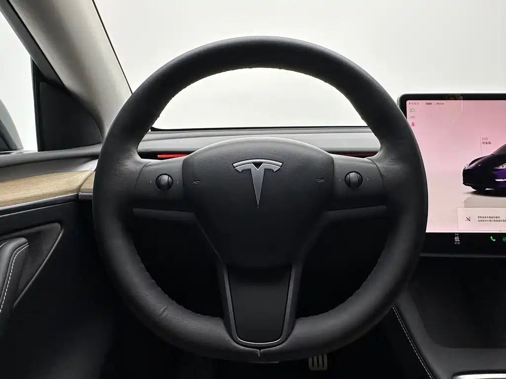 Tesla Model Y 2021 — фото 19