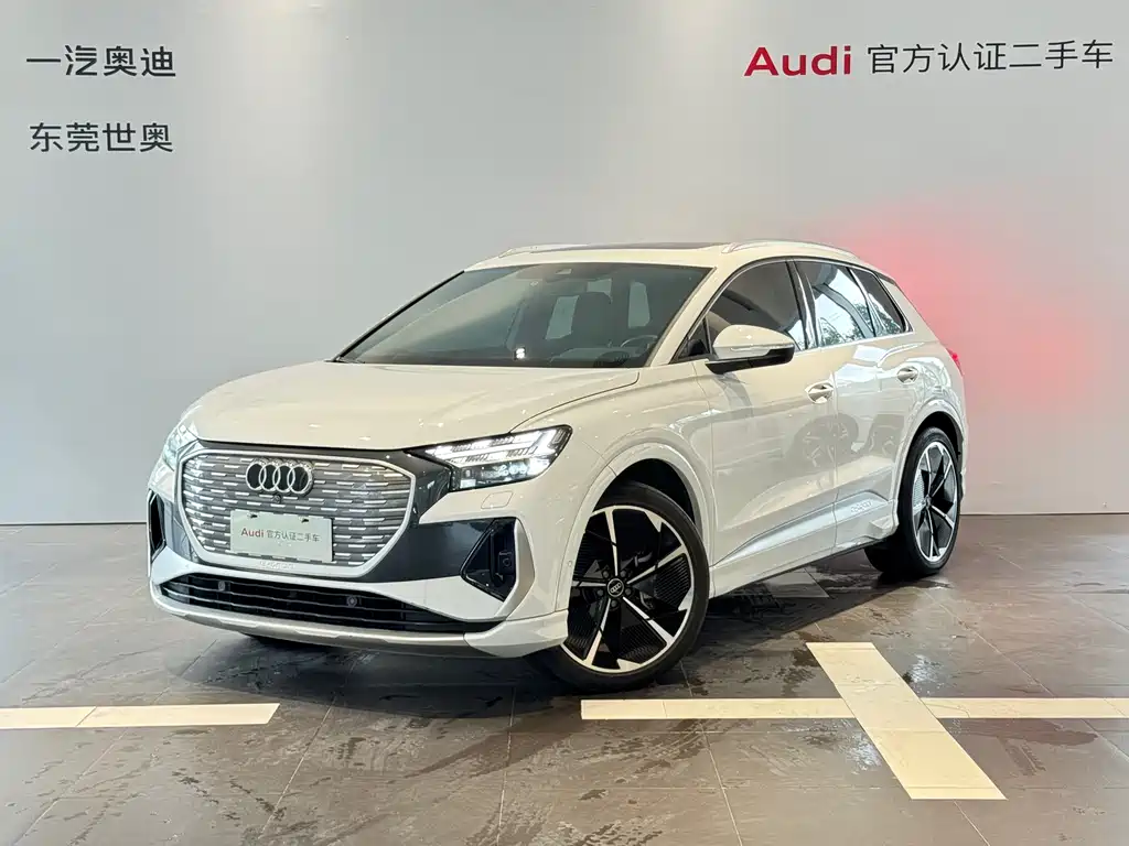 Audi Q4 e-tron 2023 — фото 1