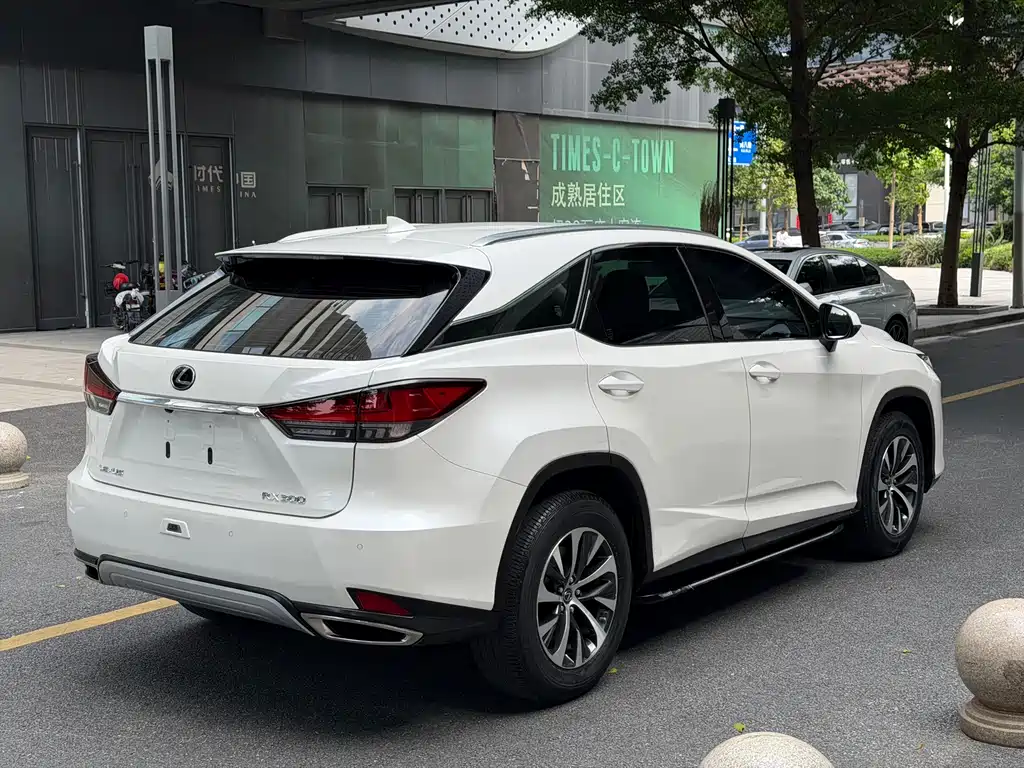 Lexus RX 2020 — фото 16