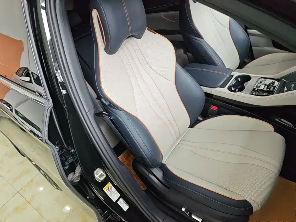 BYD Song PLUS New Energy 2023 — фото 25