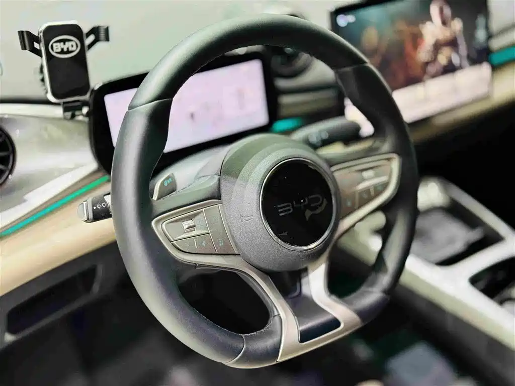 BYD Dolphin 2025 — фото 11