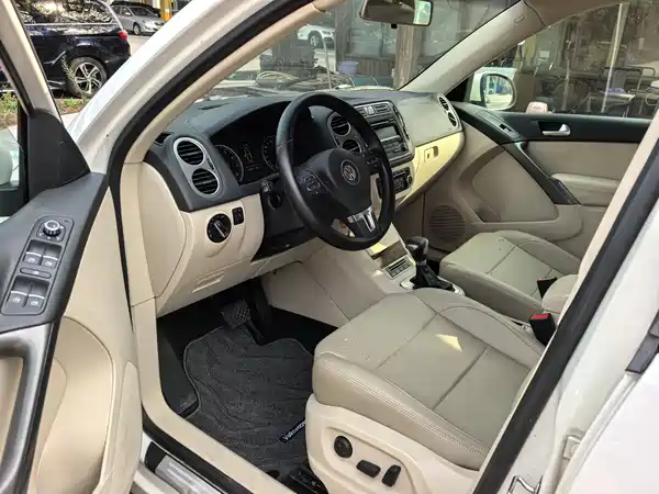 Volkswagen Tiguan 2010