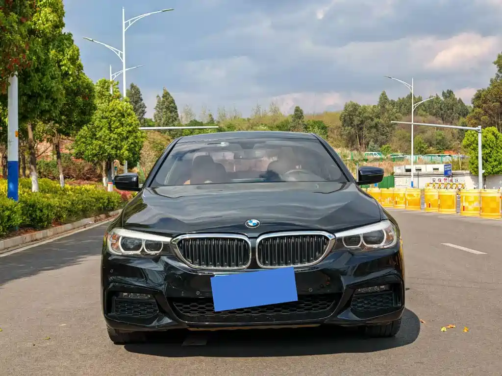 BMW 5 Series 2019