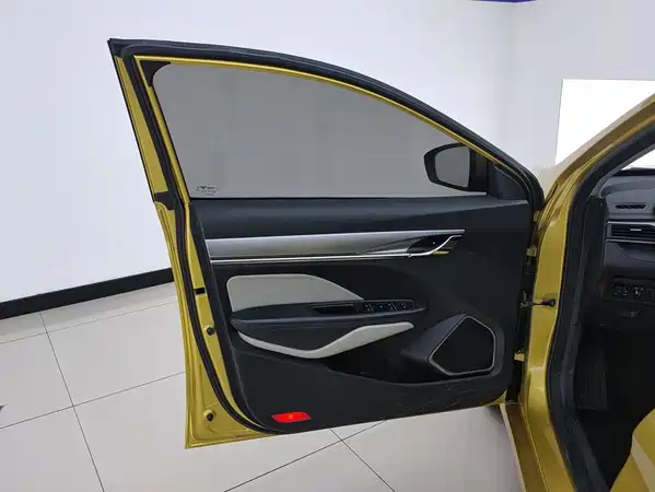 Geely Binrui 2019