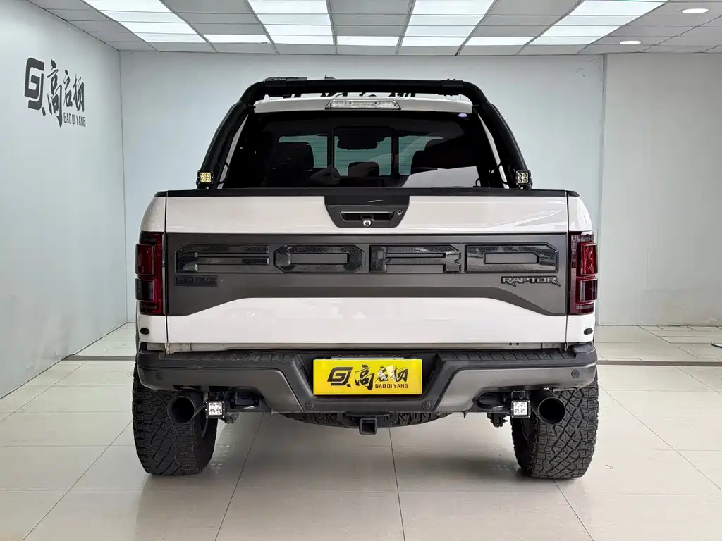 Ford F-150 Raptor 2017 — фото 26