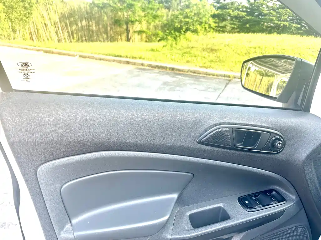 Ford Ecosport 2016 — фото 10