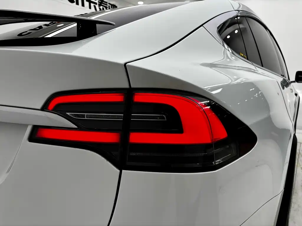 Tesla Model X 2020 — фото 14