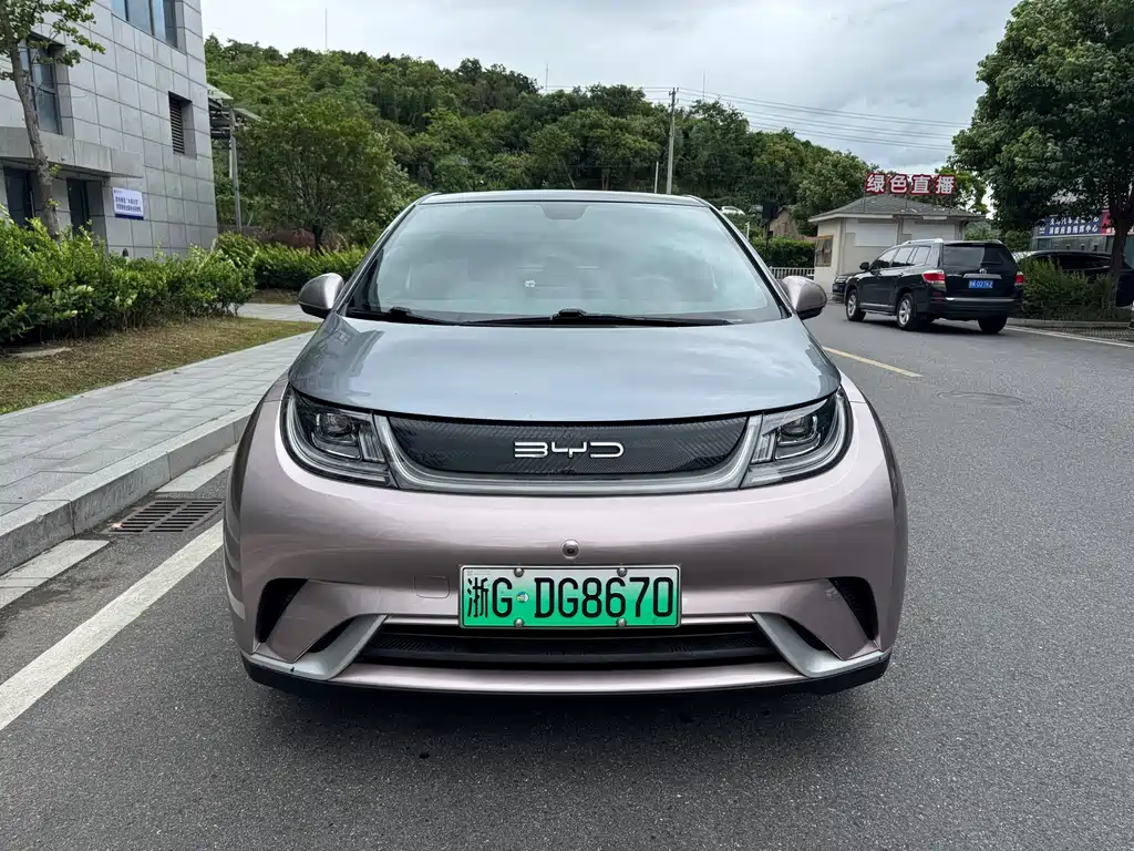 BYD Dolphin 2022