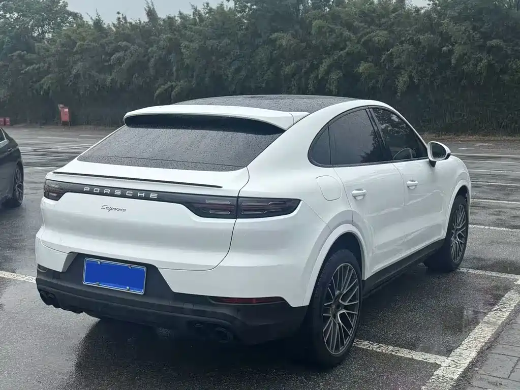 Porsche Cayenne 2021 — фото 12