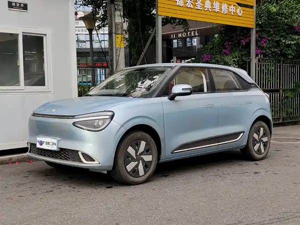 Dongfeng Nano 01 2024