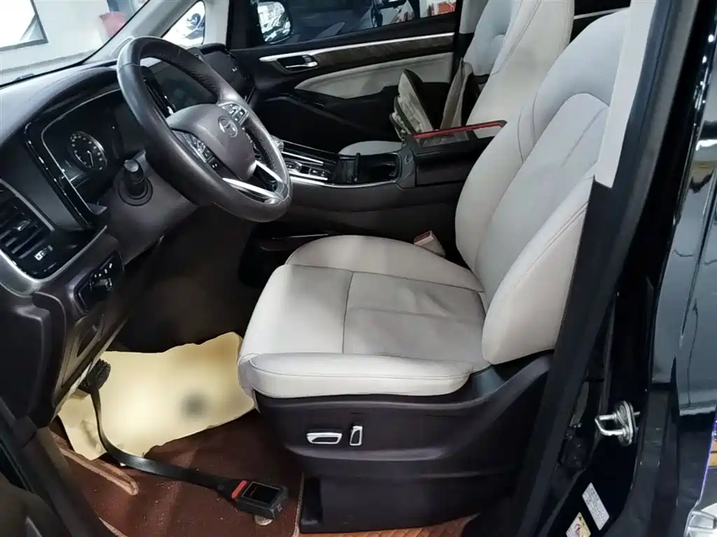 GAC Motor Trumpchi M8 2022 — фото 15