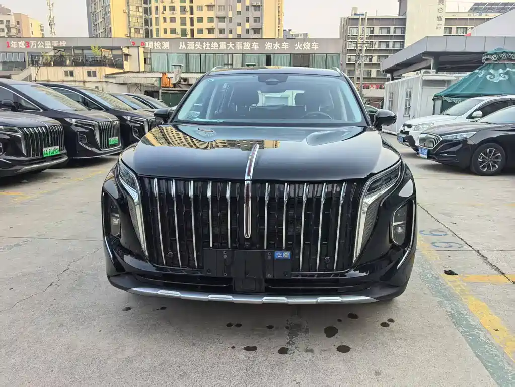 Hongqi HS7 PHEV 2024 — фото 2