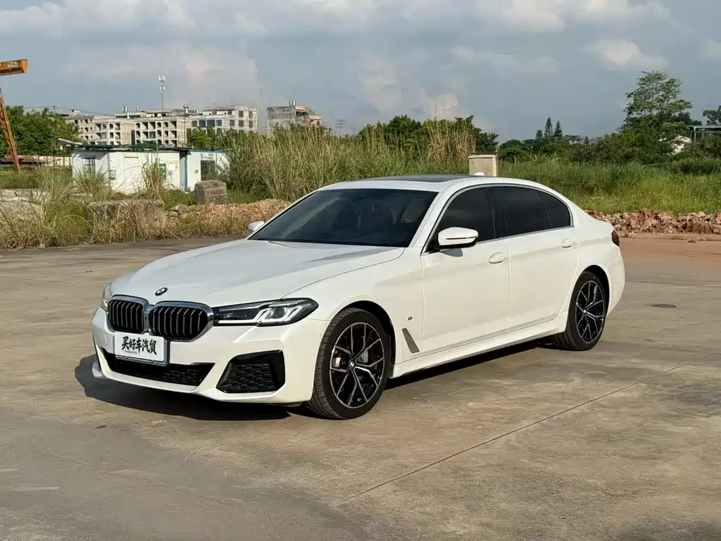 BMW 5 Series 2020