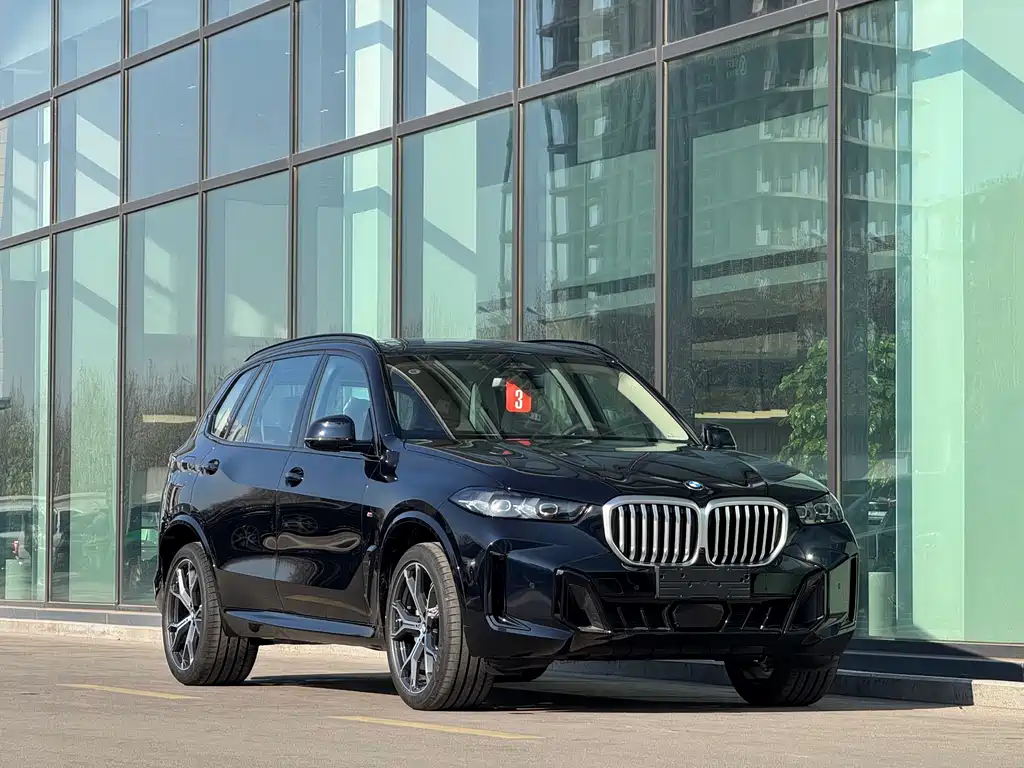 BMW X5 — фото 3