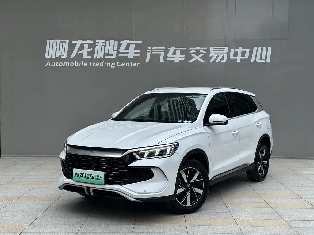BYD Pro New Energy 2023