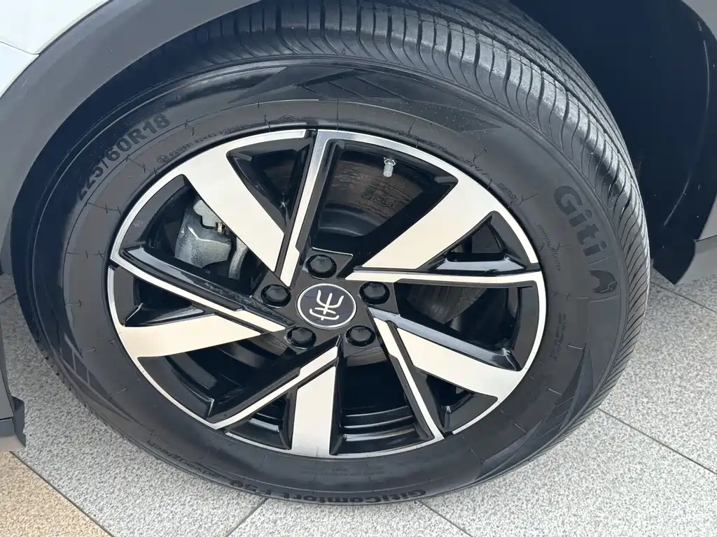 BYD Pro New Energy 2023 — фото 17
