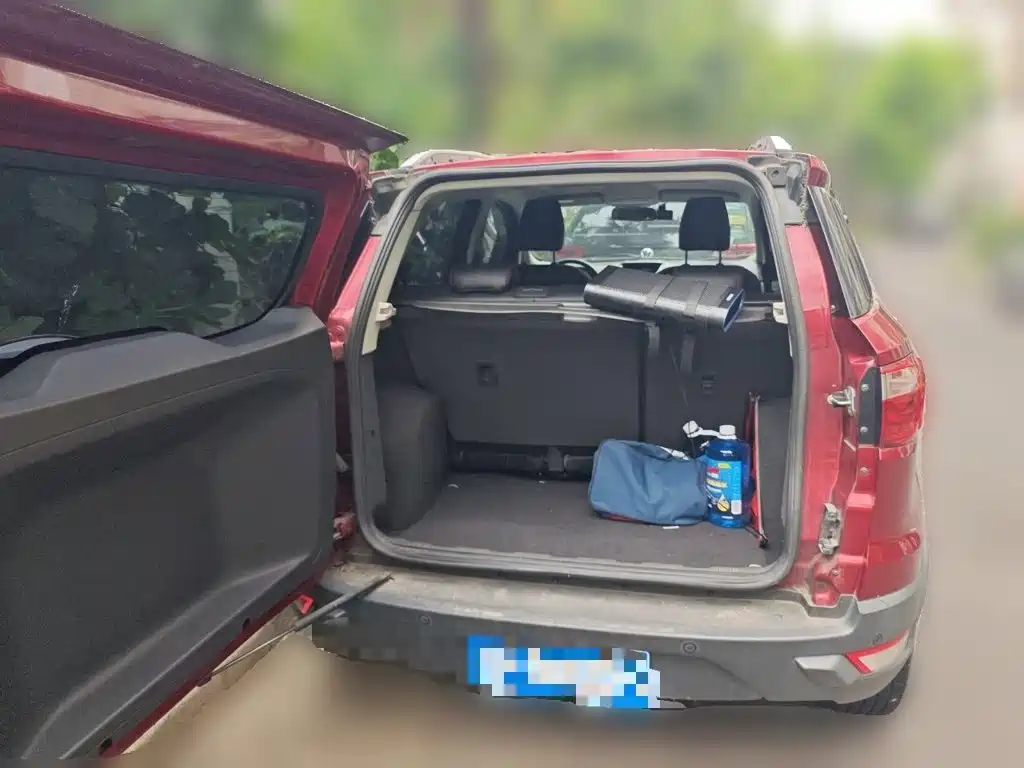 Ford EcoSport 2015 — фото 10