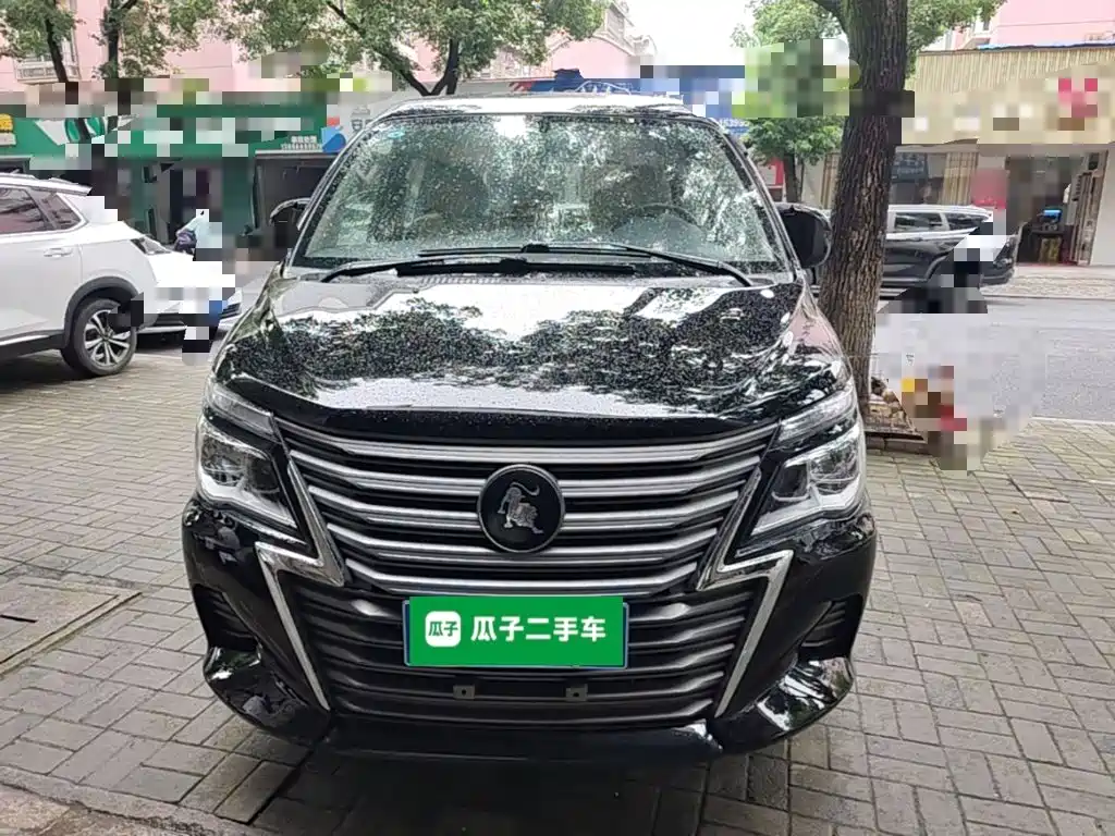 Dongfeng Lingzhi 2024