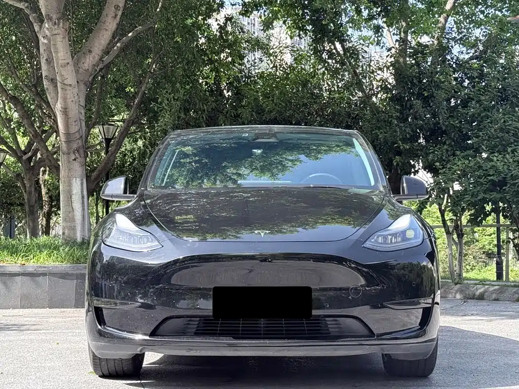 Tesla Model Y 2021 — фото 2