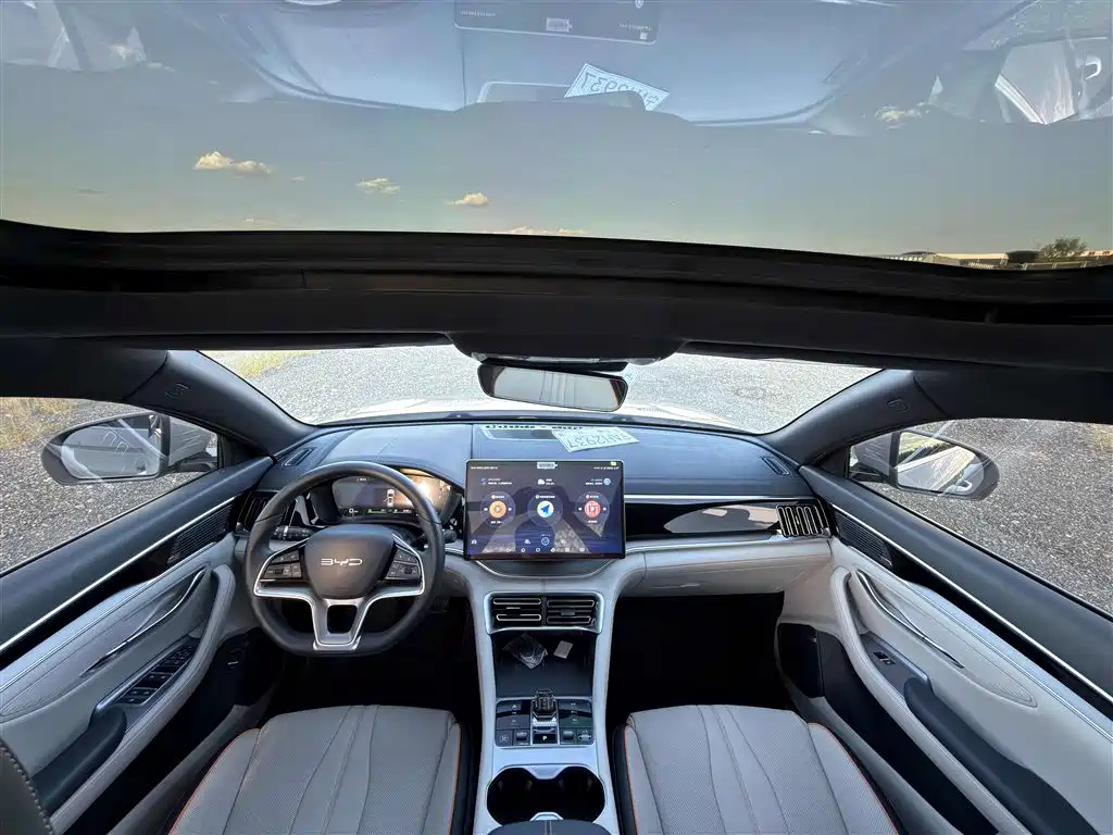 BYD Song PLUS New Energy 2024 — фото 10
