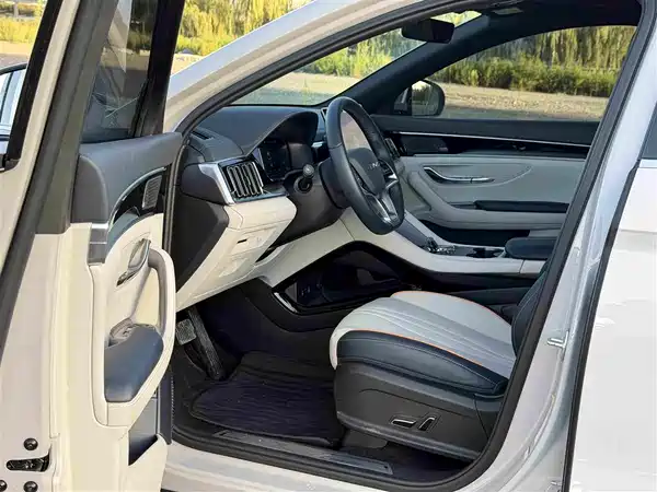 BYD Song PLUS New Energy 2024