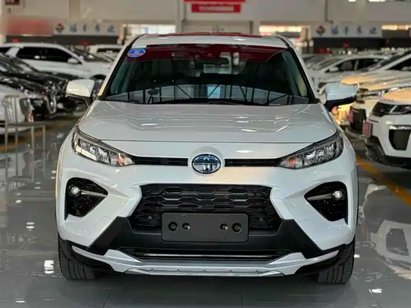 Toyota Wildlander 2020