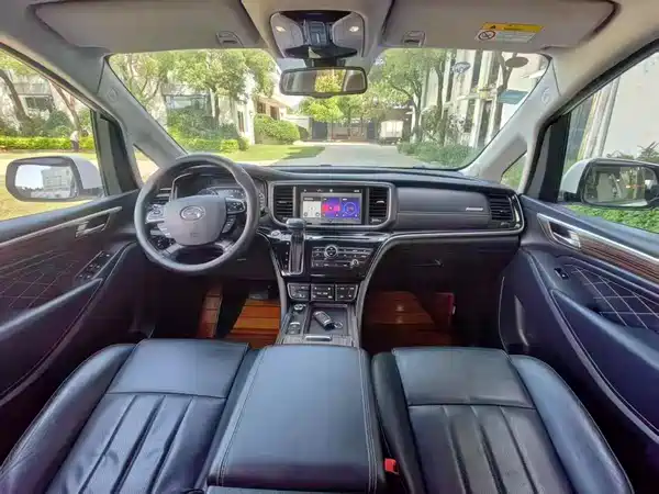 GAC Trumpchi M8 2020