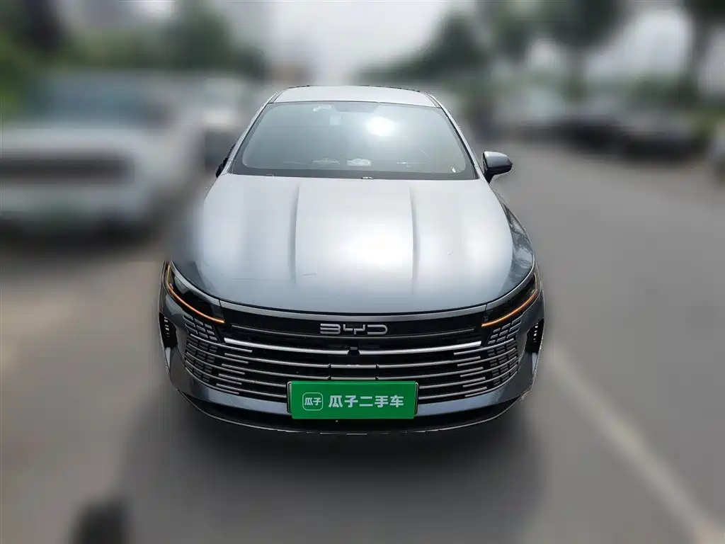 BYD Destroyer 05 2024 — фото 24