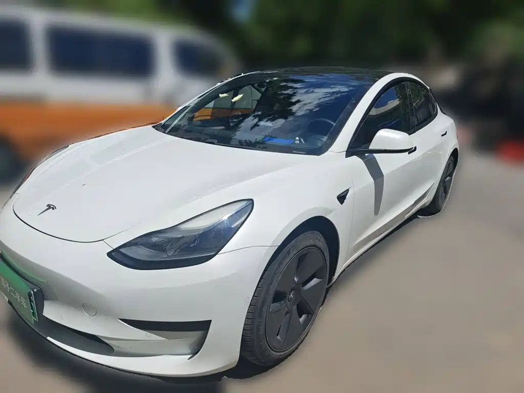 Tesla Model 3 2021 — фото 2