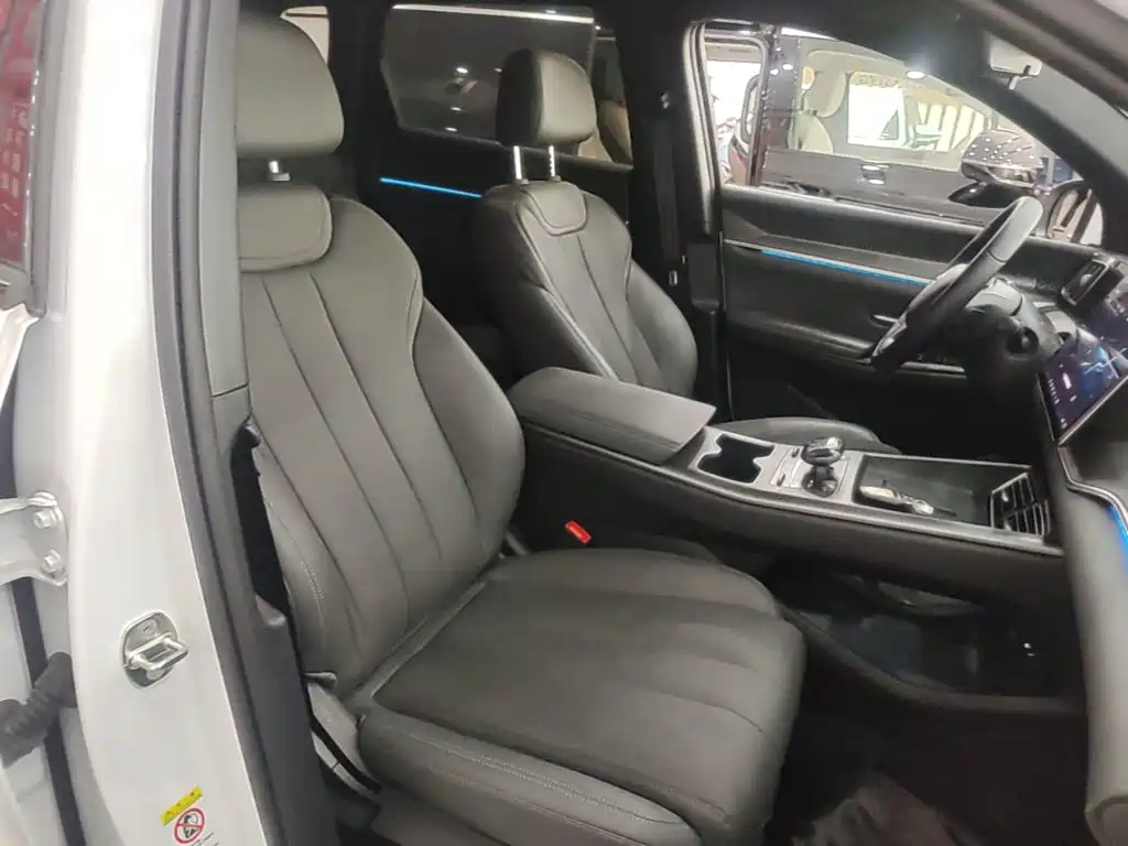 BYD Song Pro New Energy 2025 — фото 25