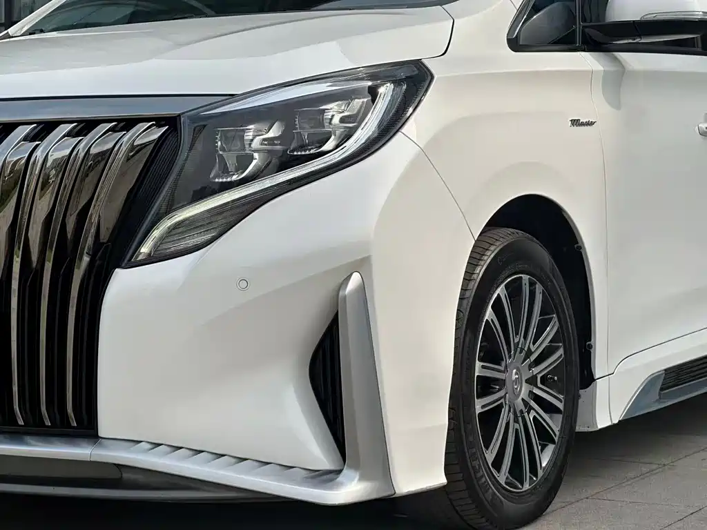 GAC Motor Trumpchi M8 2021 — фото 14