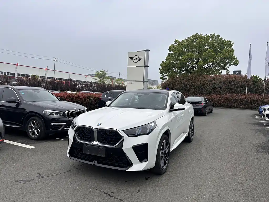 BMW X2 2025 — фото 1