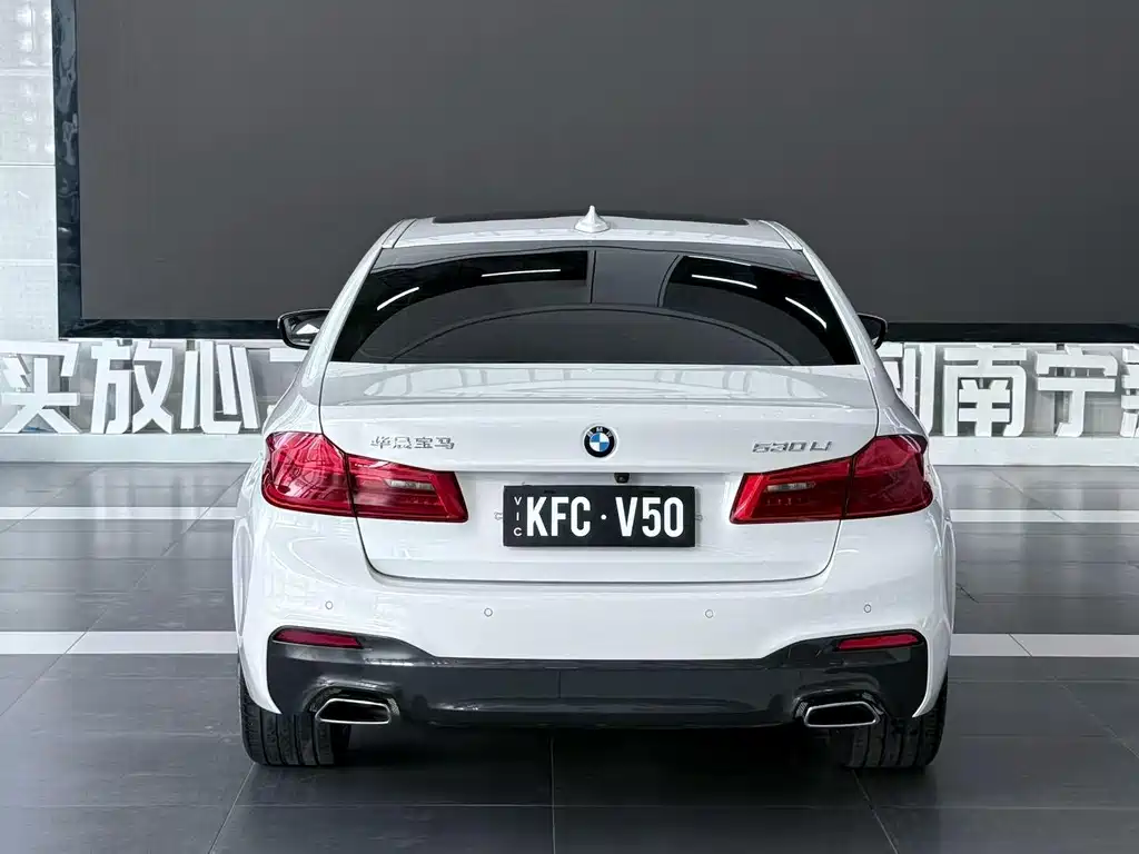 BMW 5 Series 2019