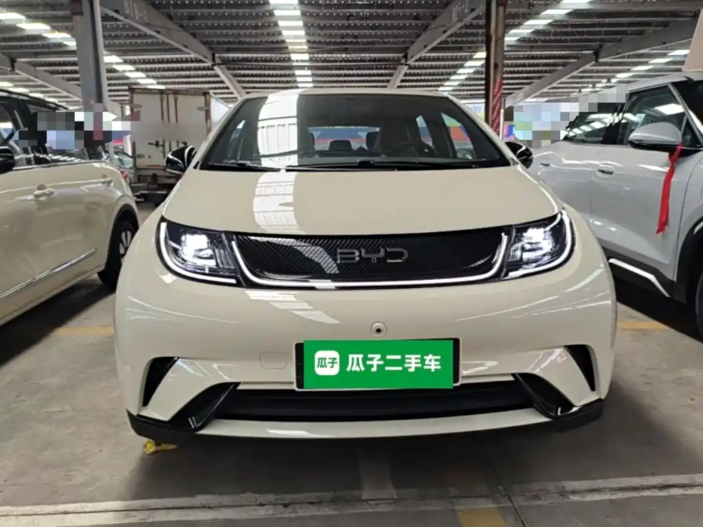 BYD Dolphin 2026