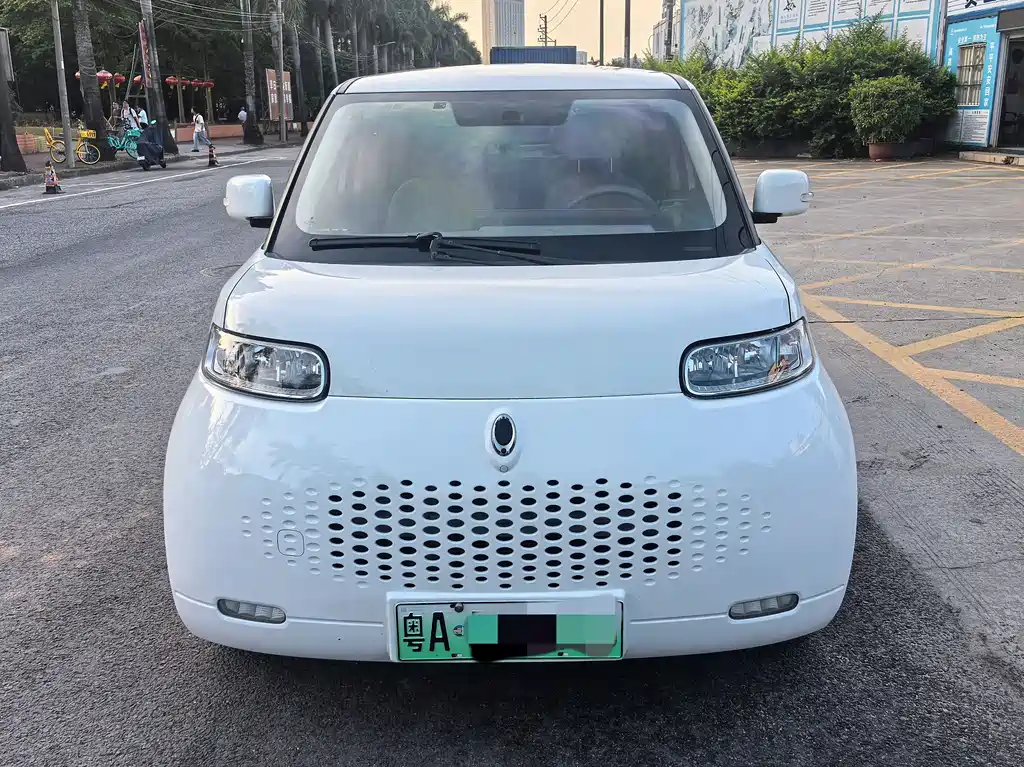 Ora White Cat 2021