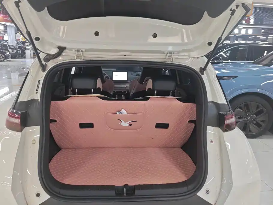 BYD Seagull 2024