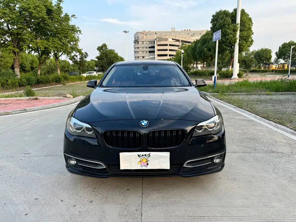 BMW 5 Series 2015 — фото 2