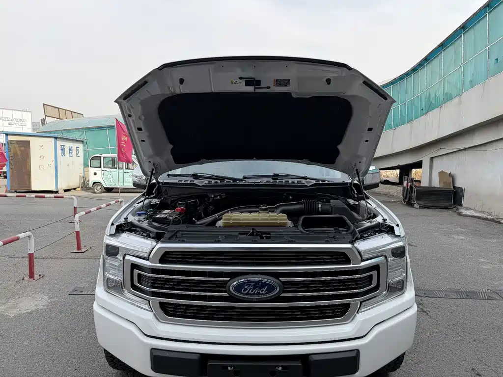 Ford F-150 Raptor 2020 — фото 14
