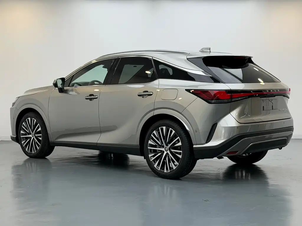 Lexus RX New Energy 2023 — фото 8