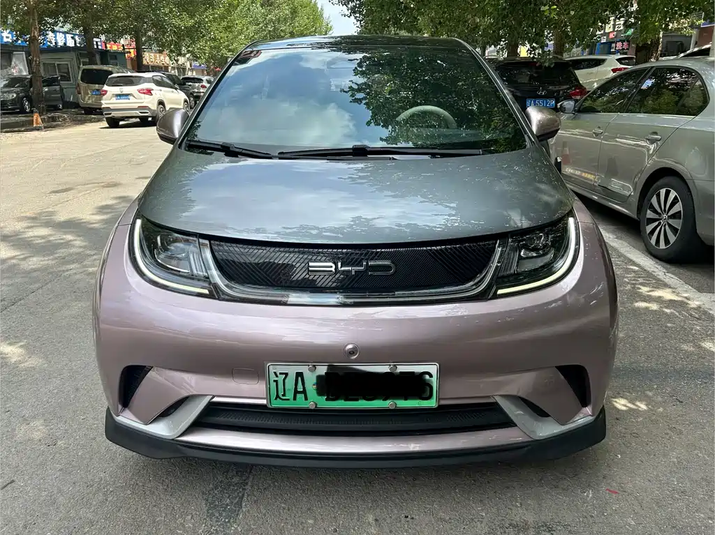 BYD Dolphin 2022