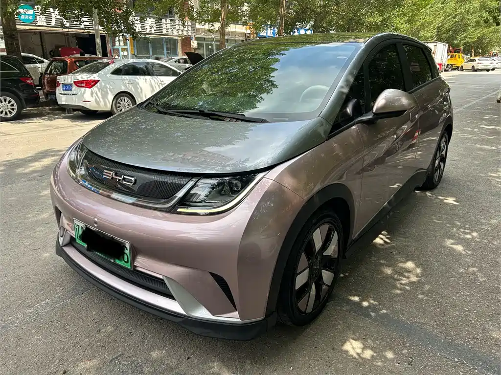 BYD Dolphin 2022