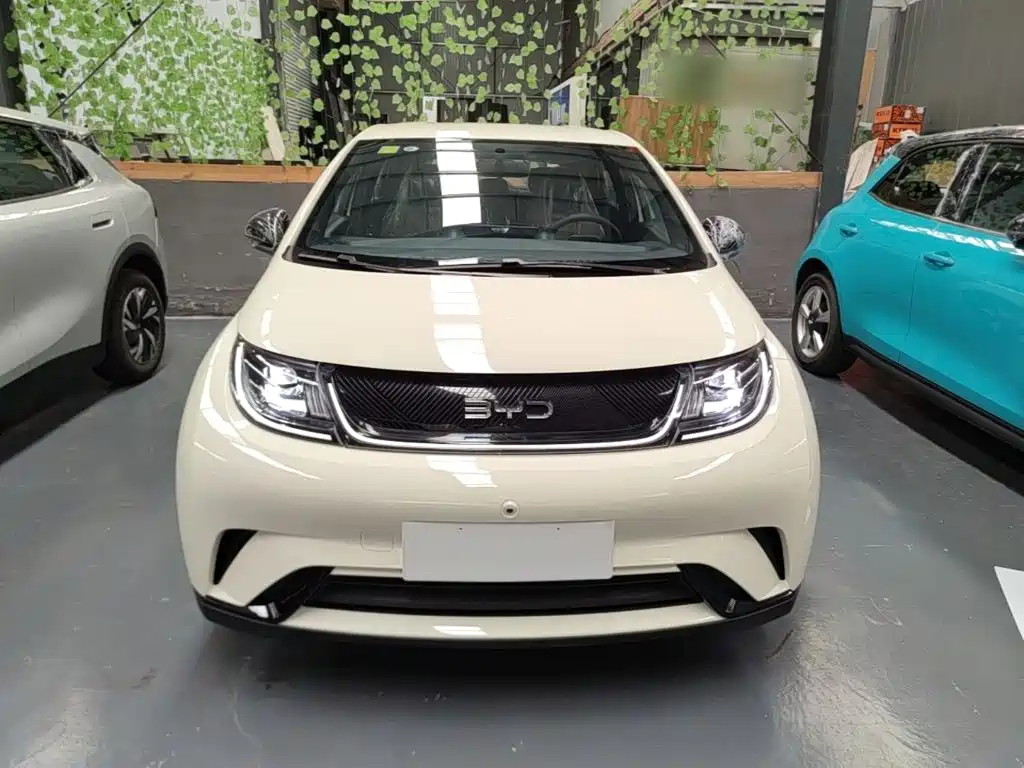 BYD Dolphin 2026