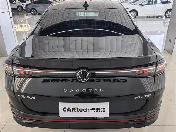 Volkswagen Magotan 2024