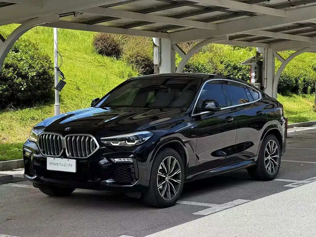 BMW X6 2020 — фото 1
