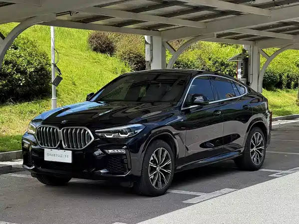 BMW X6 2020